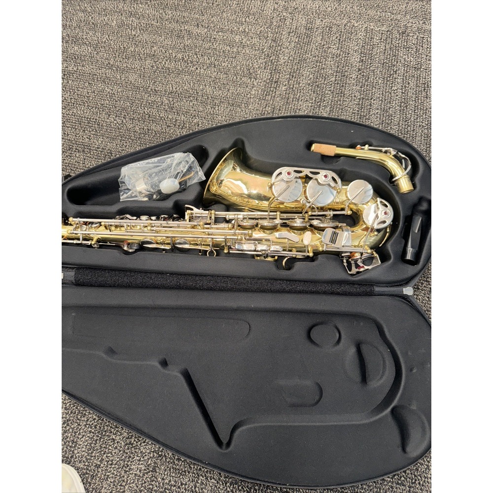 Borg Alto Saxophone with Case and Accessories